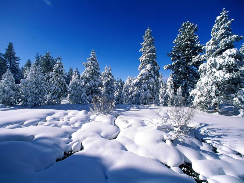 imagenes de invierno