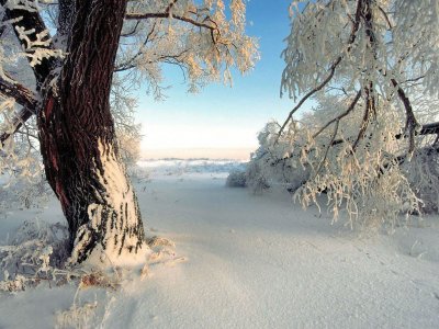 imagenes de invierno