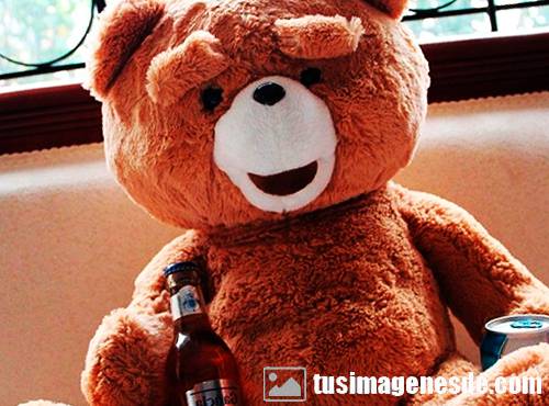 osos ted