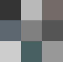 color gris