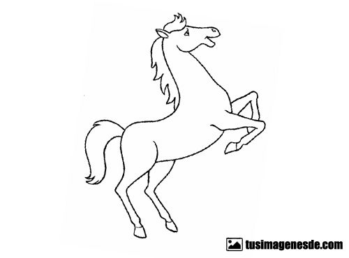 dibujos de caballos