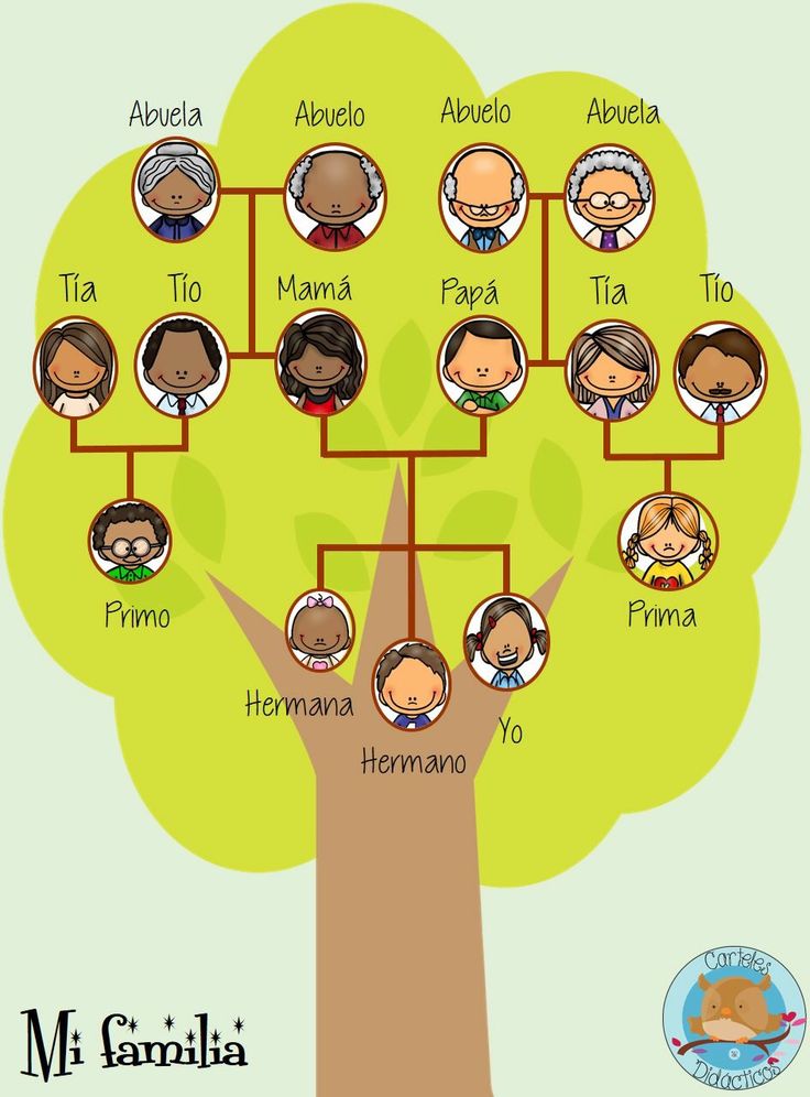 arbol genealogico de la familia