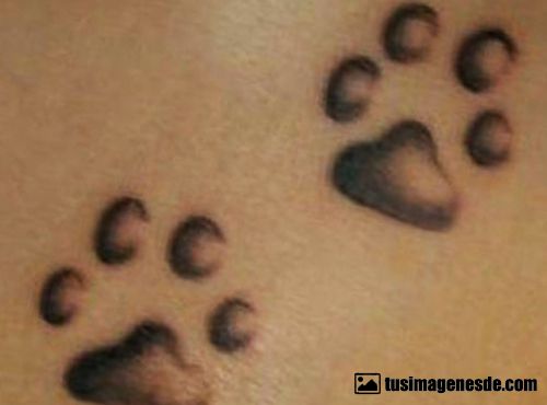 tatuajes de huellas de perro