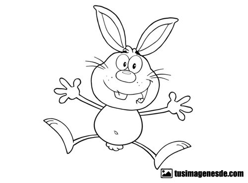 dibujos de conejos