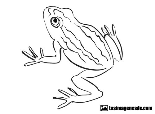 dibujos de ranas